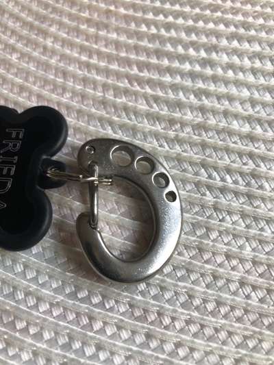 Hundemarke - verschiedene Halsbänder-Beitrag-Bild