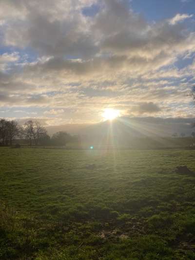 Die wunderschöne Welt mit Hund.-Beitrag-Bild