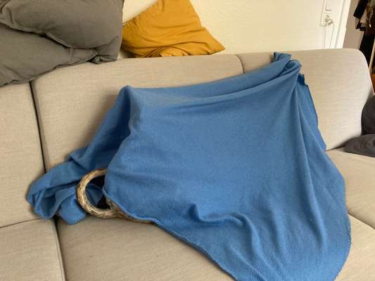 Windhunde - Treffen der besonderen Schönheiten
HERZLICH WILLKOMMEN-Beitrag-Bild