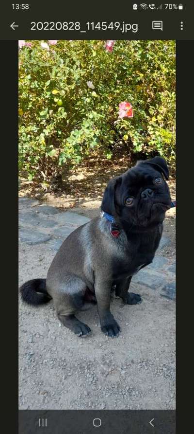 147. Foto Challenge: Bettelblick-Beitrag-Bild