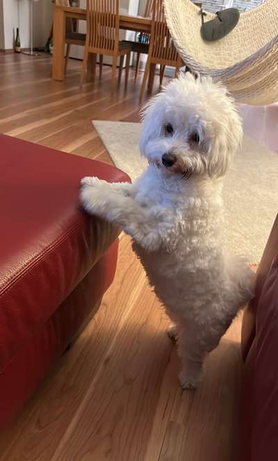 45. Handy - Foto - Challenge-Beitrag-Bild