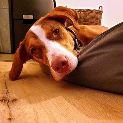 Fotochallange Nr. 57     PORTRÄT.   Beendet!!!!!!!!-Beitrag-Bild