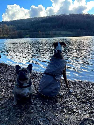 Lieblingsbild-Beitrag-Bild