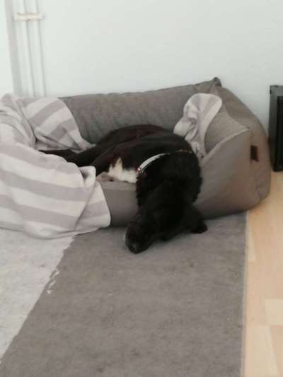 CHALLENGE NR. 34 - Liege-/Schlafpositionen-Beitrag-Bild