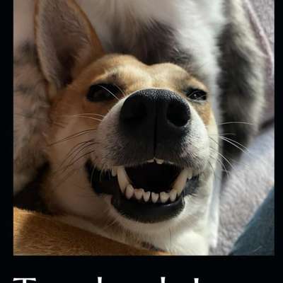 %{de_profession_title}-Buch-Bild