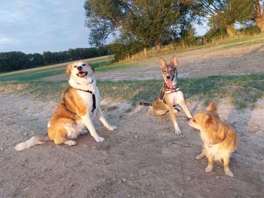 Doppelgänger gesucht !-Beitrag-Bild