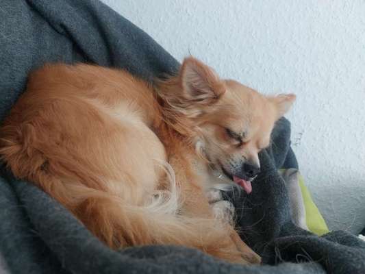 Handyfoto challenge Nr. 13: Waschlappen raus!-Beitrag-Bild