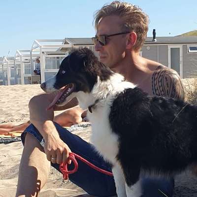 Björn's Profilbild