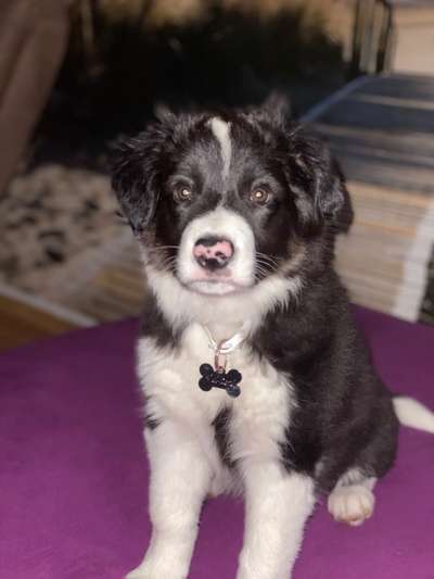 Foto Challenge 3-Beitrag-Bild