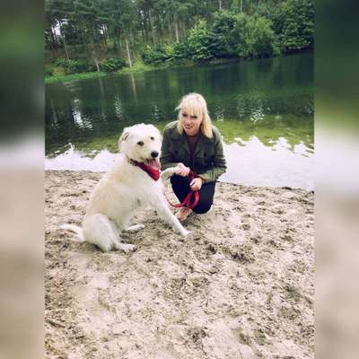 Hundetreffen-Gassirunde mit Spaß und Spielen 🤗-Profilbild