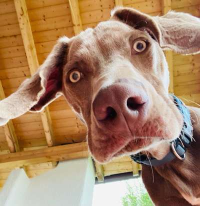 Lieblingsbild-Beitrag-Bild