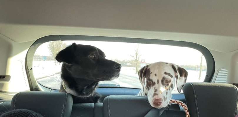 CHALLENGE NR. 18 - ON TOUR-Beitrag-Bild