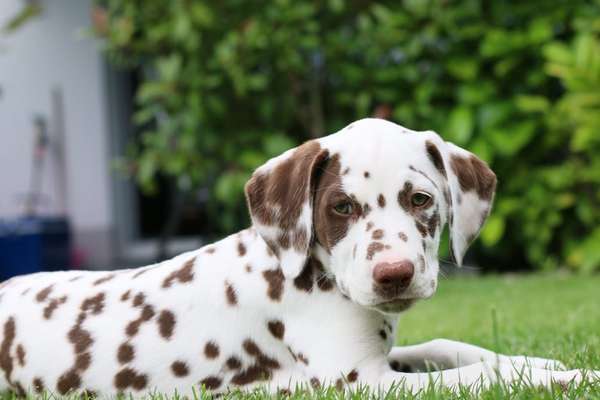 Foto Challenge 3-Beitrag-Bild