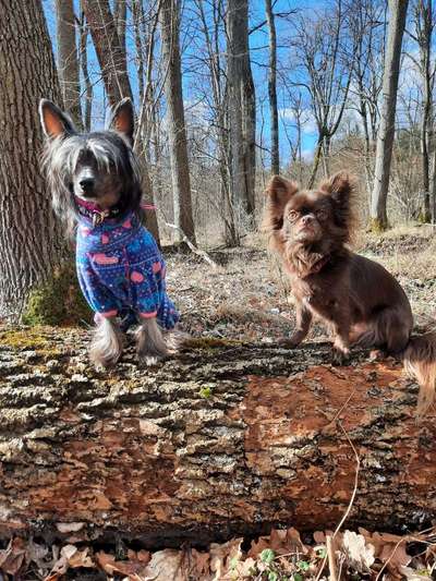 Gibt es Namens-Verwandte-Beitrag-Bild