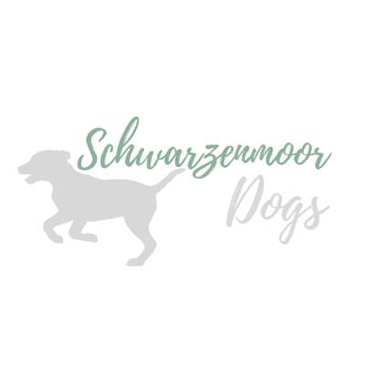 Weitere Unternehmen-Schwarzenmoor Dogs-Bild