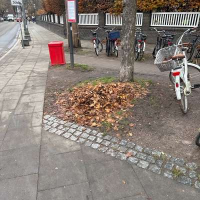 Giftköder-Futter pot. Giftköder im Laub verstreut-Bild