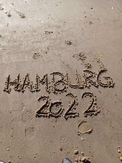 Berner Sennen-Beitrag-Bild