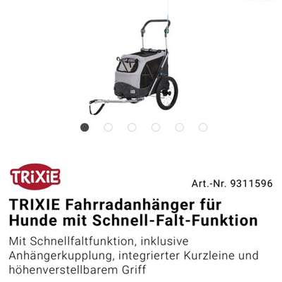 Bollerwagen-Beitrag-Bild