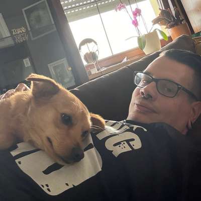 Hundetreffen-Gassi und Spiel Dates 🖤-Profilbild
