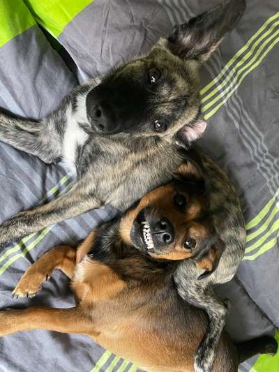 Handy-foto Challange nr. 11-Beitrag-Bild