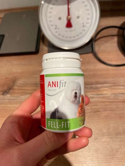 Samojede-Beitrag-Bild