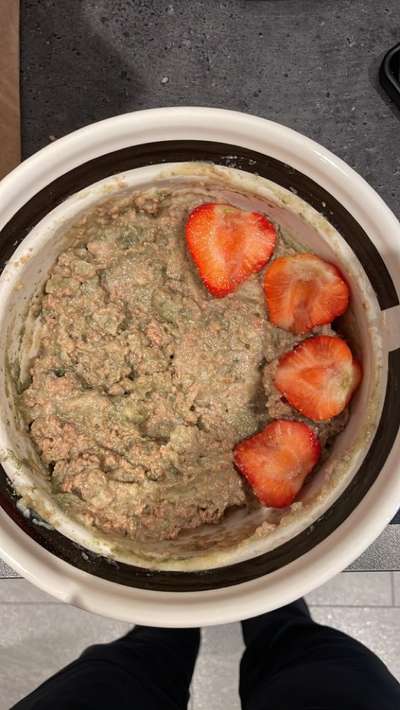 Samojede-Beitrag-Bild