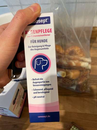 Samojede-Beitrag-Bild