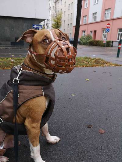 Pullis, Jacken, Hütte und alles sonstiges-Beitrag-Bild