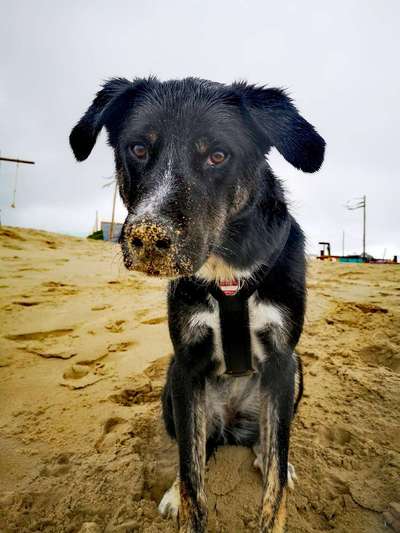 Theos  Fotochallenge Nummer 2-Beitrag-Bild