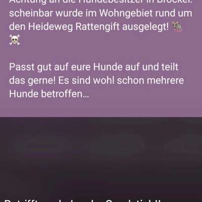 Giftköder-Rattengift-Bild