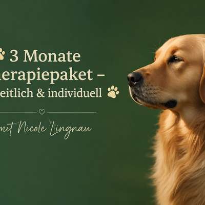 %{de_profession_title}-3 Monate Therapiepaket Darm & Stress-Bild