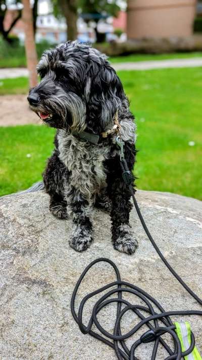 13. Farben-Fotochallenge "Grau"-Beitrag-Bild