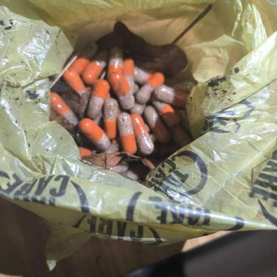 Giftköder-Medikamentekapseln-Bild