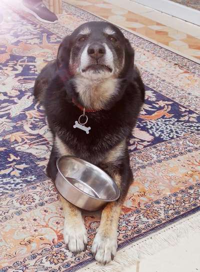 147. Foto Challenge: Bettelblick-Beitrag-Bild