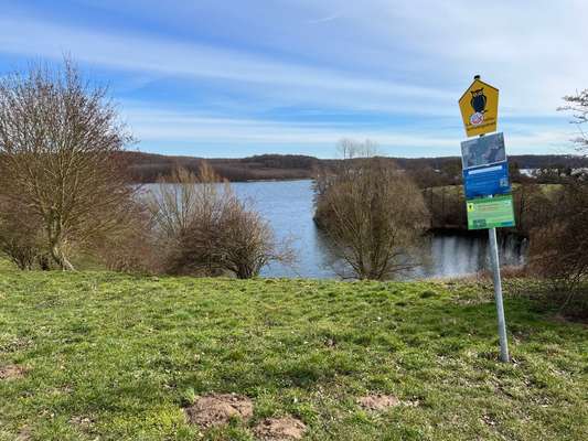 Hundeauslaufgebiet-Ziegelsee Nord-Bild