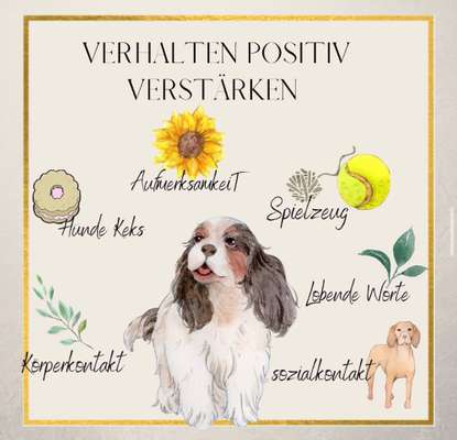 VERHALTEN POSITIV VERSTÄRKEN-Beitrag-Bild