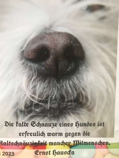 Dogorama Photo Challenge - Details Ganz nah-Beitrag-Bild