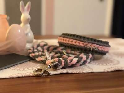 Bastelstunde für den Vierbeiner-Beitrag-Bild