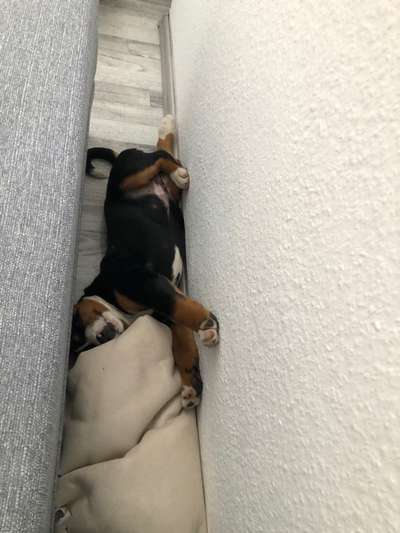 Die unbequemsten und lustigsten Schlafpositionen-Beitrag-Bild