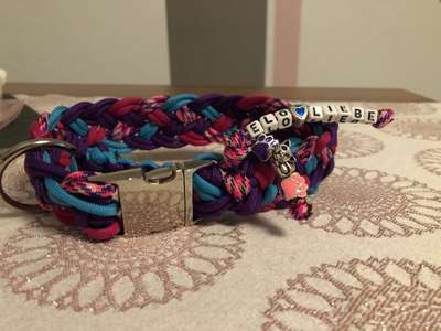 Bastelstunde für den Vierbeiner-Beitrag-Bild