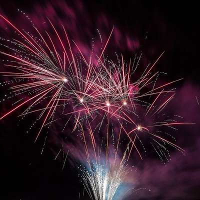 Hundetreffen-Silvester Gassi-Bild