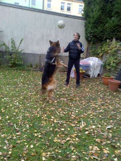 Foto-Challenge Nr. 90: Lebensfreude-Beitrag-Bild