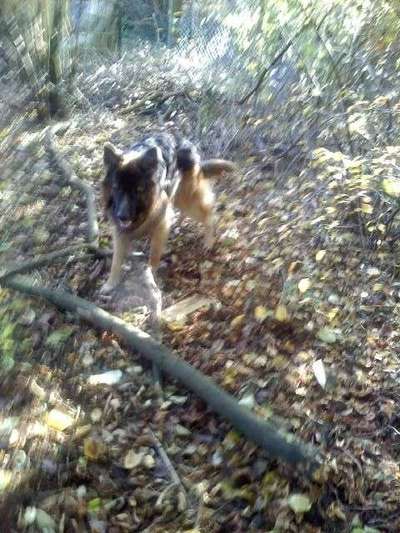 Theos Fotochallenge Nr. 3-Beitrag-Bild