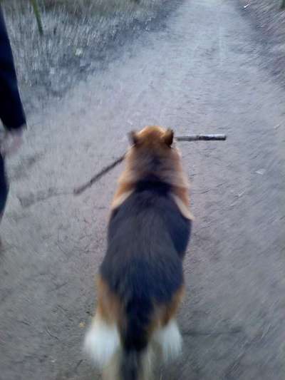 Theos Fotochallenge Nr. 3-Beitrag-Bild