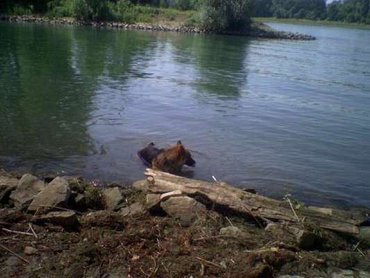 Foto-Challenge Nr. 90: Lebensfreude-Beitrag-Bild
