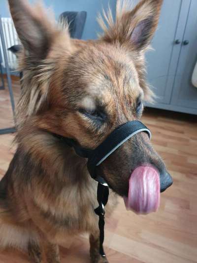 Lieblings Schnappschuss?-Beitrag-Bild