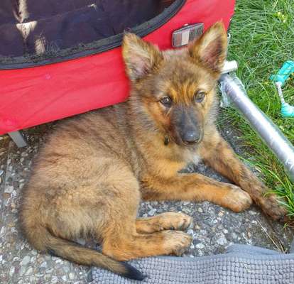 Vorher.... Nachher-Beitrag-Bild