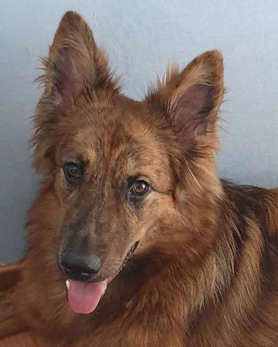 Vorher.... Nachher-Beitrag-Bild