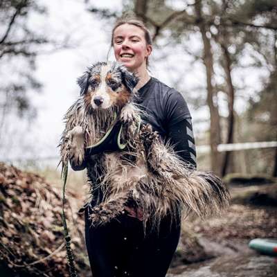 Hundetreffen-Laufpartner gesucht-Bild