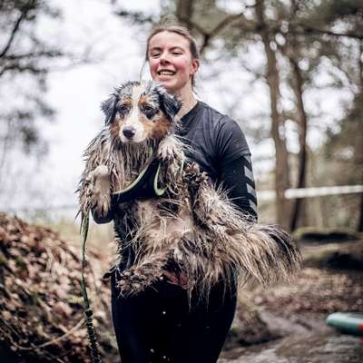 Hundetreffen-Laufpartner gesucht-Bild